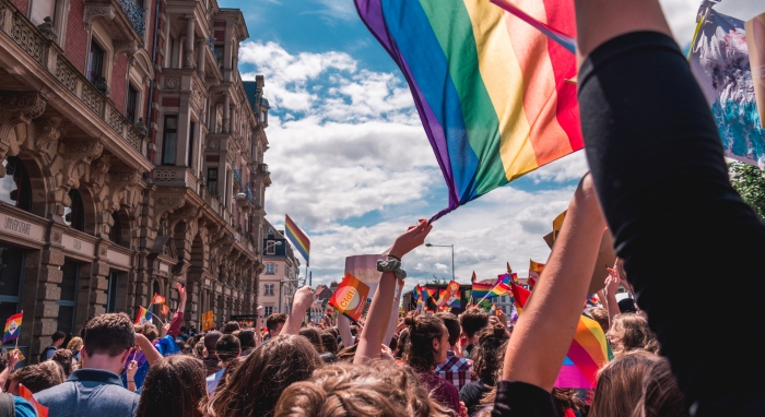 APLICACIÓN DE CITAS PARA PROFESIONALES HOMOSEXUALES