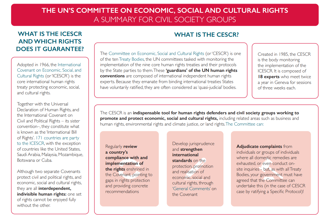 Explainer On The Committee On Economic Social And Cultural Rights ISHR