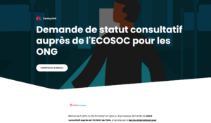 Capture d'ecran ECOSOC